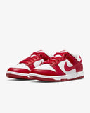 NIKE DUNK LOW NEXT NATURE GYM RED