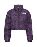 THE NORTH FACE NUPTSE