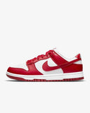 NIKE DUNK LOW NEXT NATURE GYM RED