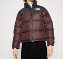 THE NORTH FACE 1996 RETRO NUPTSE