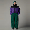 THE NORTH FACE NUPTSE SHORT PEAK PURPLE