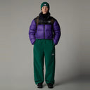 THE NORTH FACE NUPTSE SHORT PEAK PURPLE